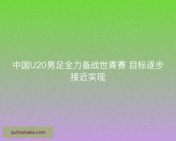 中国U20男足全力备战世青赛 目标逐步接近实现